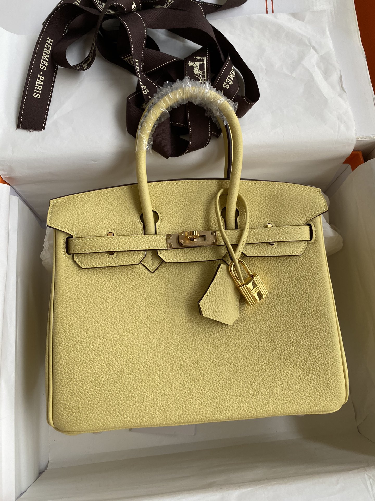 Hermes Birkin 25CM Togo Leather Handbag Jaune Poussin